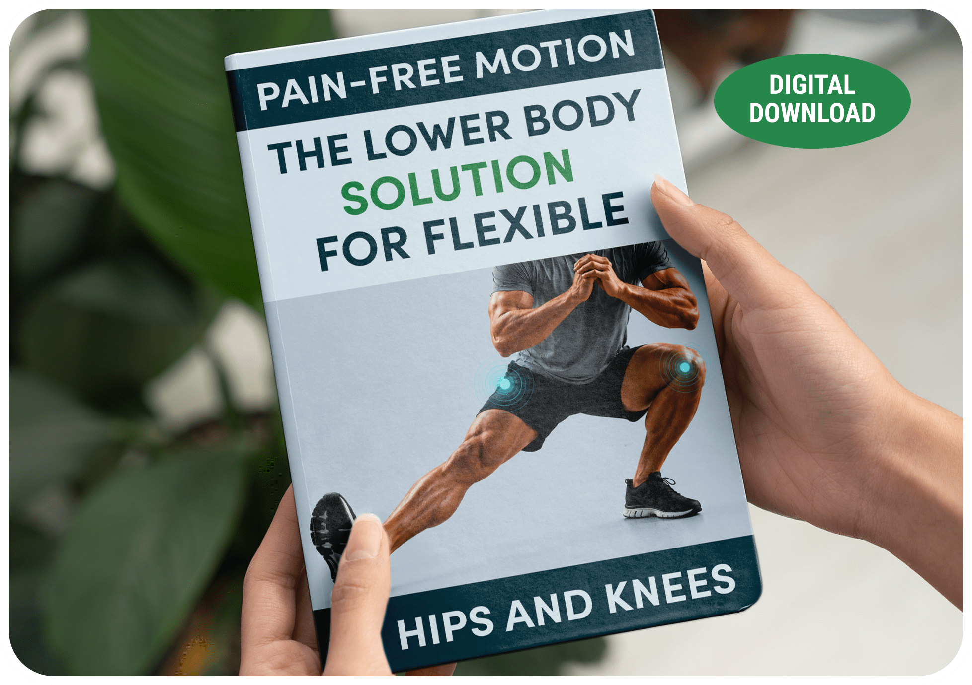 Pain-Free Motion digital movement guide